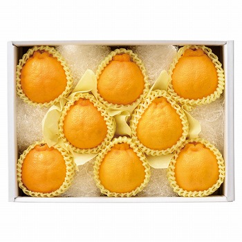 園田フルーツ 大分産 デコポン【お届け期間:11月下旬〜】